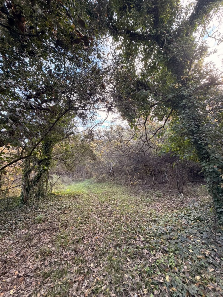 VENTA LOTE 10000M² -  1 HA - PUNTA INDIO