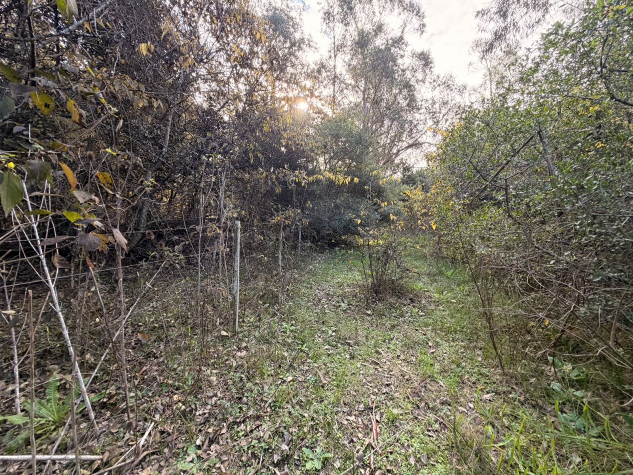 VENTA LOTE 10000M² -  1 HA - PUNTA INDIO