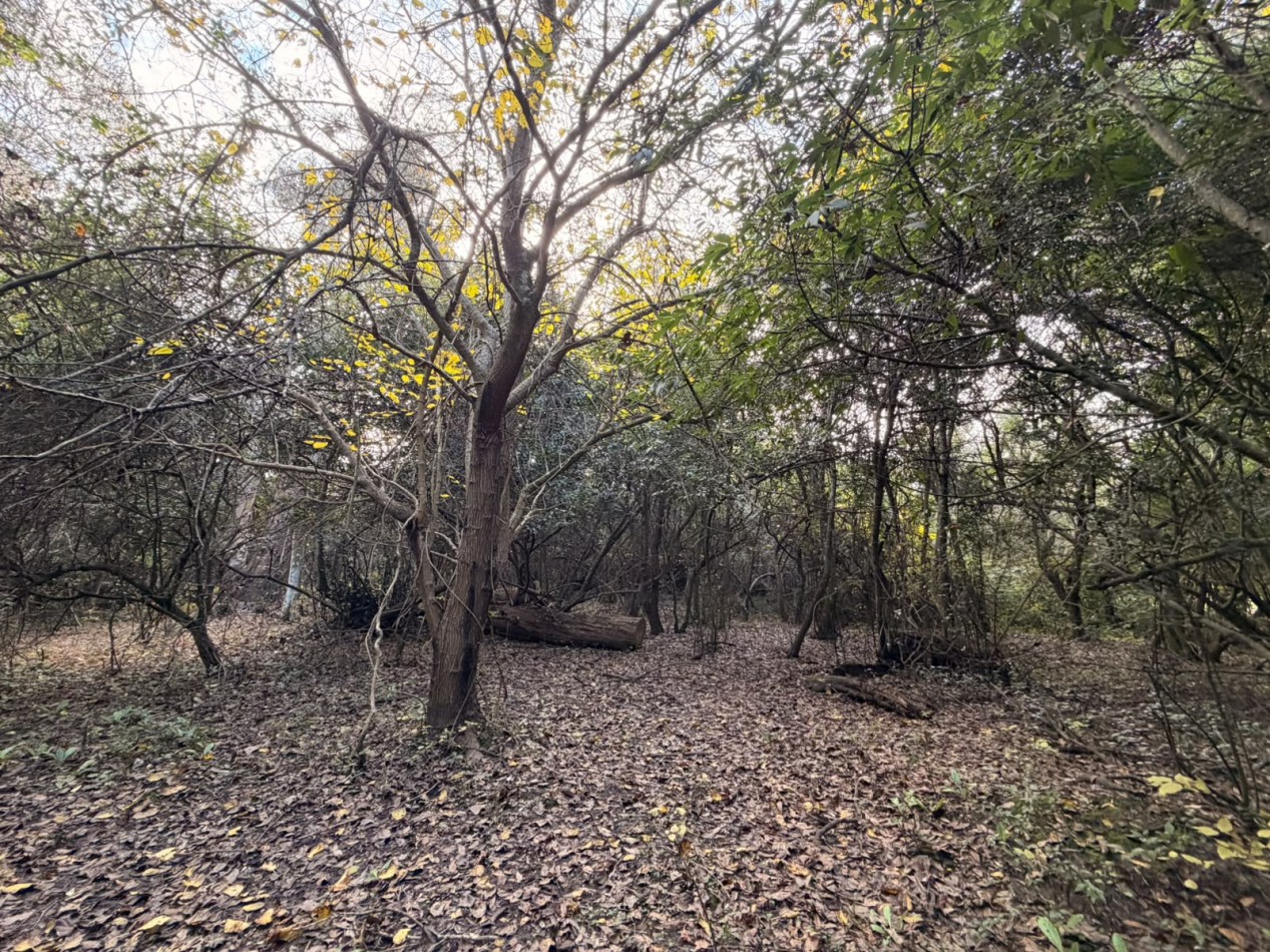 VENTA LOTE 10000M² -  1 HA - PUNTA INDIO