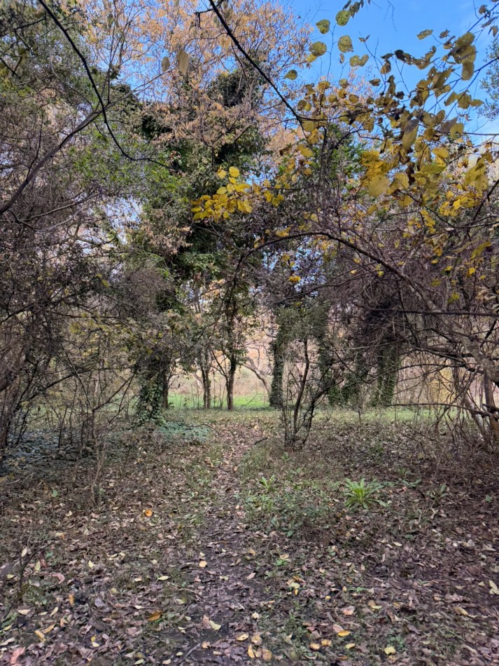 VENTA LOTE 10000M² -  1 HA - PUNTA INDIO