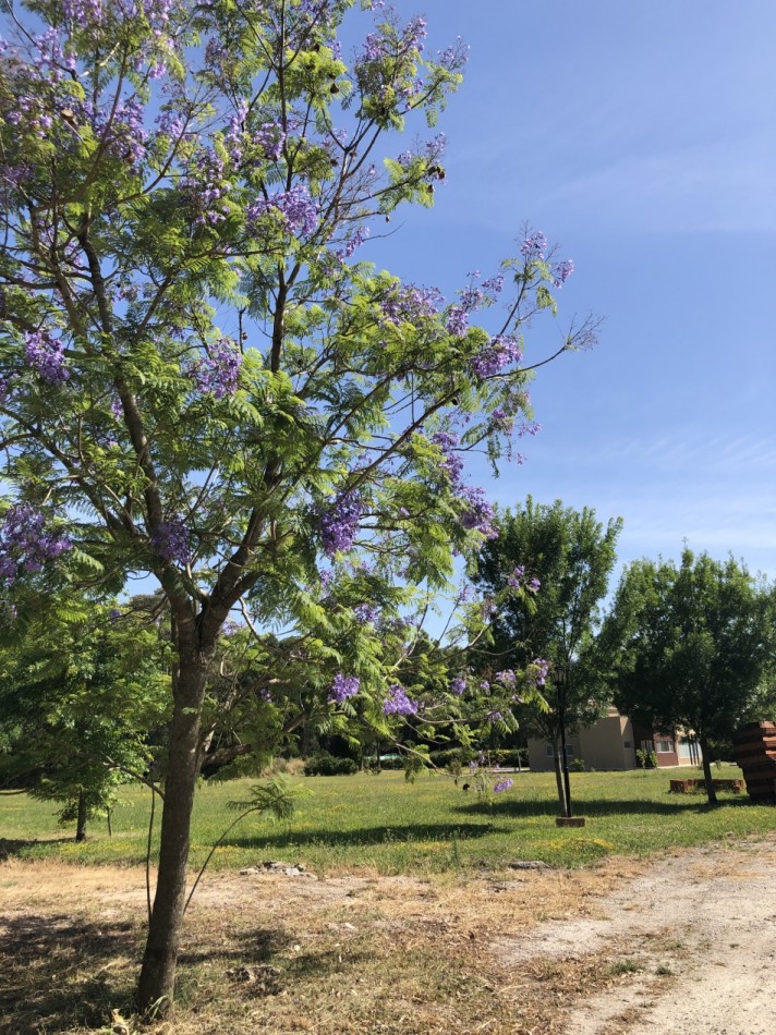 VENTA LOTES EN BARRIO LAWN TENIS en VERONICA