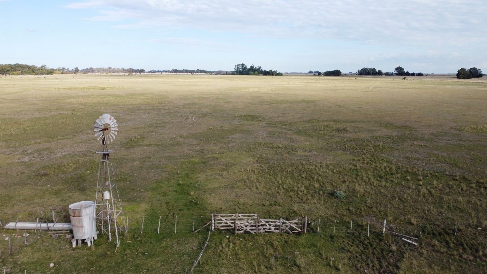 VENTA Campo 31 Has - Veronica - C-169