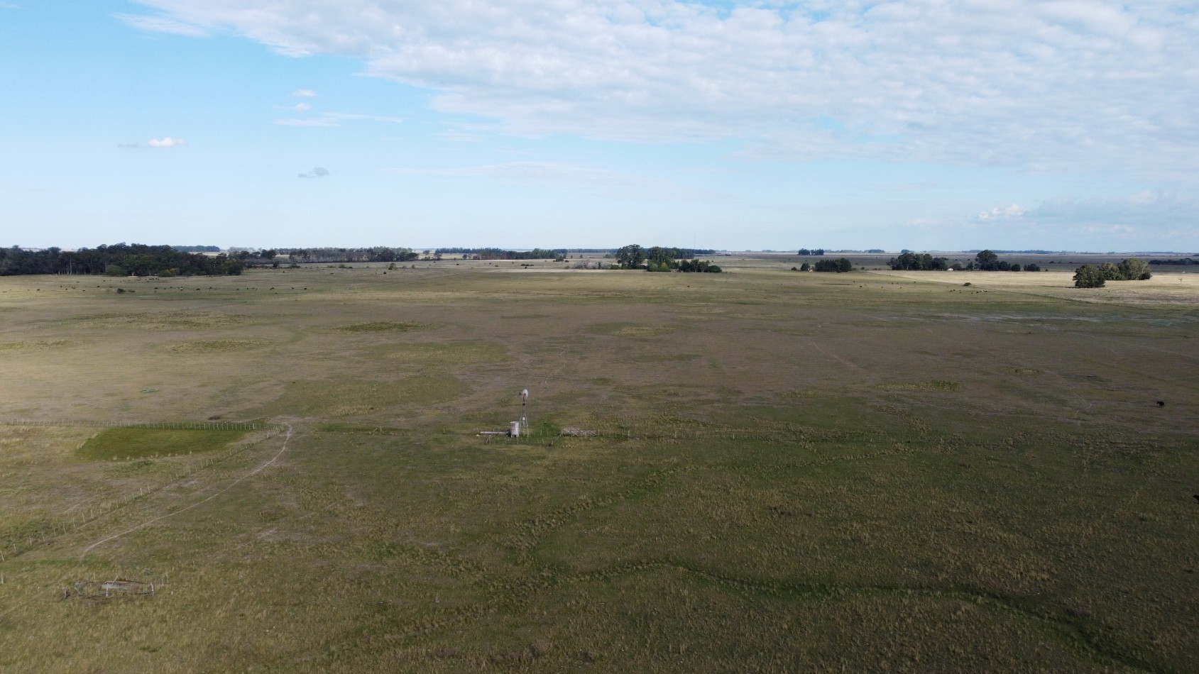 VENTA Campo 31 Has - Veronica - C-169