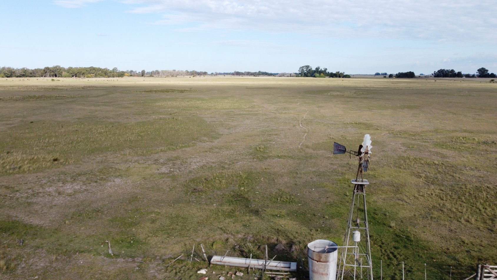 VENTA Campo 31 Has - Veronica - C-169
