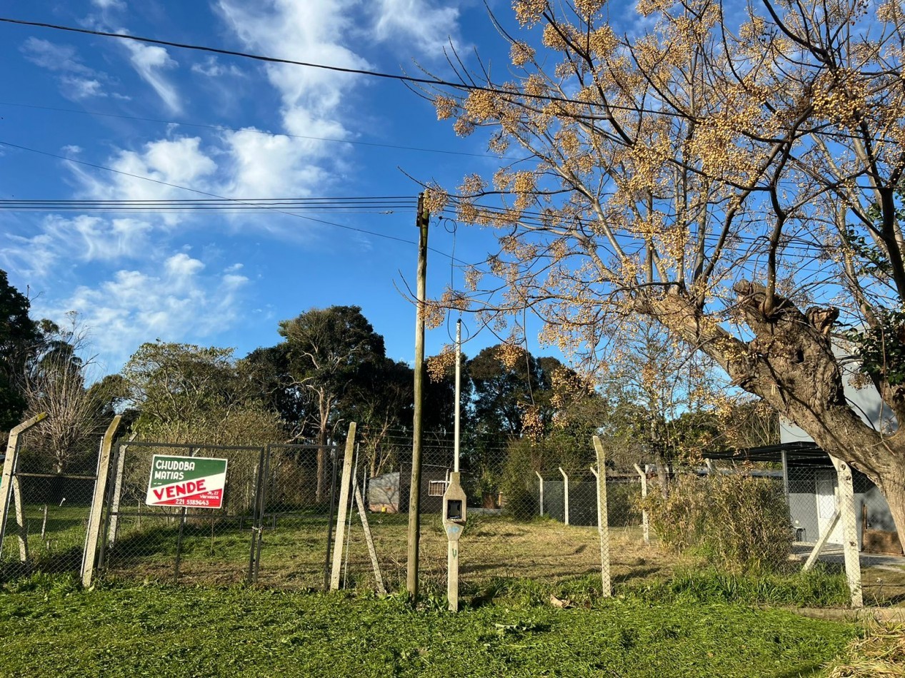 LOTE -VENTA - VERONICA 300m² T-793