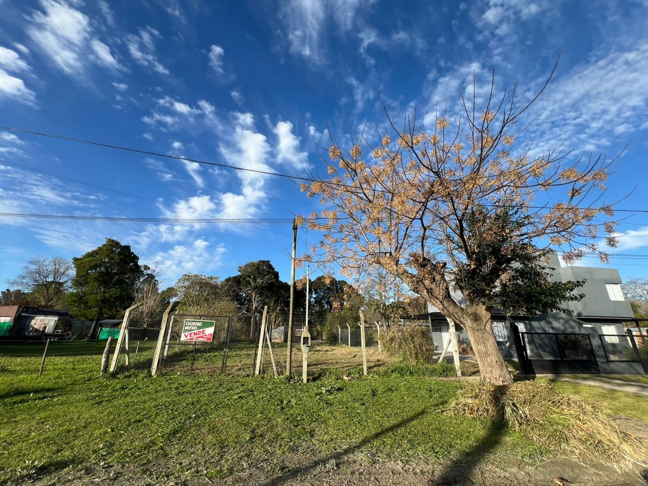 LOTE -VENTA - VERONICA 300m² T-793