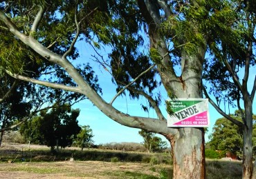 LOTE - VENTA - PUNTA DEL INDIO LA ESCONDIDA
