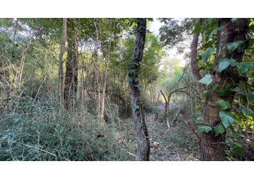 VENTA  Lote 2000m² Punta Del Indio T-1178