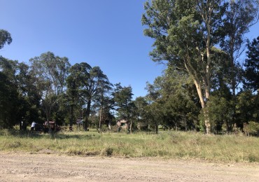 VENTA Casa Quinta 7,3 has- Las Tahonas Q-323