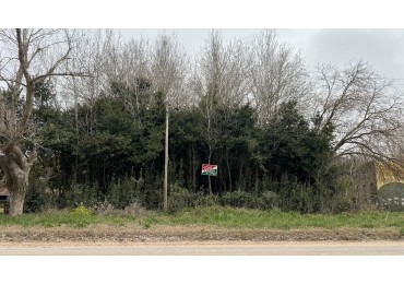 VENTA LOTE SOBRE RUTA 11 PUNTA DEL INDIO T-792