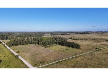 CAMPO - VENTA - 58 Has - Veronica - C-169