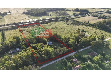 CASA QUINTA - VENTA - 4,9 has EN VERONICA Q-341