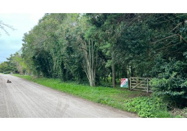 LOTES - VENTA - PUNTA DEL INDIO T-794