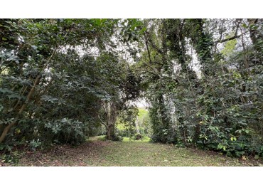 3 LOTES - VENTA - PUNTA DEL INDIO T-794 (valor de uno)