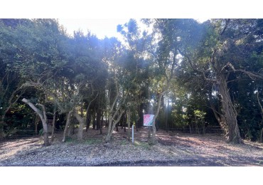 VENTA LOTE PUNTA INDIO T-802