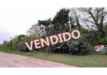 LOTE - VENTA - PUNTA DEL INDIO T-794
