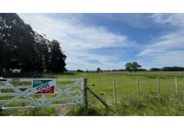 VENTA LOTE VERONICA 5000M² T-809