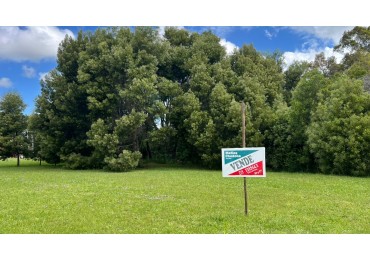 VENTA LOTE VERONICA T-811