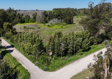 VENTA FRACCION 1,5 / 3 HAS VERONICA 