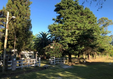 VENTA CASA QUINTA VERONICA