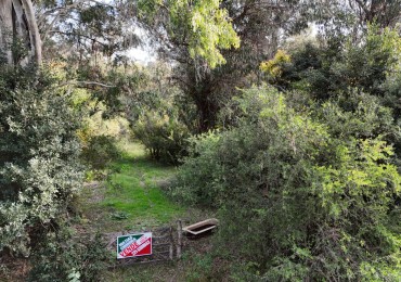 VENTA LOTE PUNTA INDIO 5000M² T-820