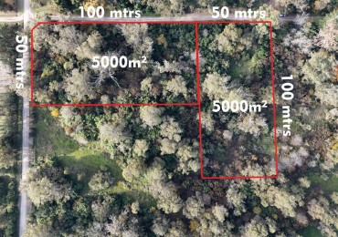 VENTA LOTE 10000M² -  1 HA - PUNTA INDIO