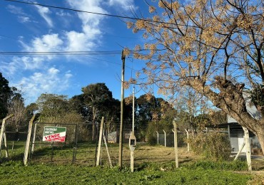 LOTE -VENTA - VERONICA 300m² T-793